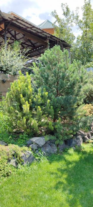 Услуги Садовника