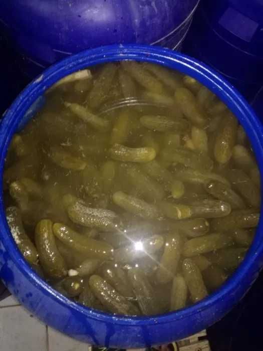 Vand castraveti murati .