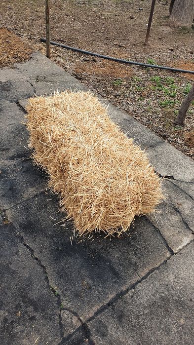 Press somon sotiladi