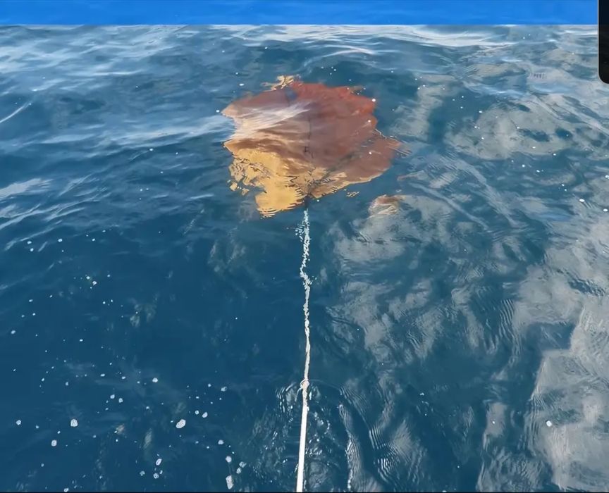 Плаваща koтва - "Парашут"