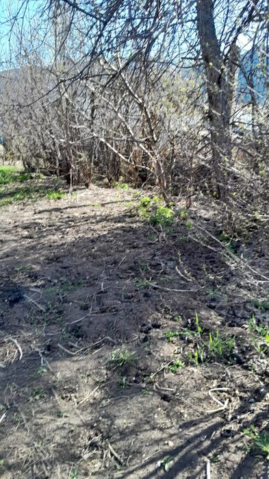 Продам дачу на 4 районе (два участка)