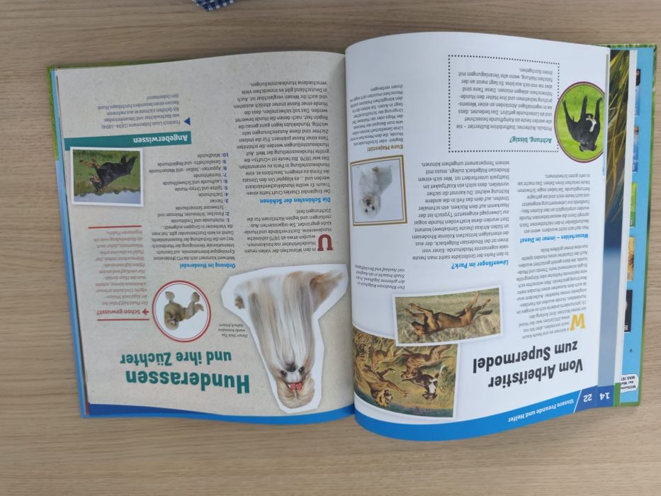 Cartebin germana deapre caini