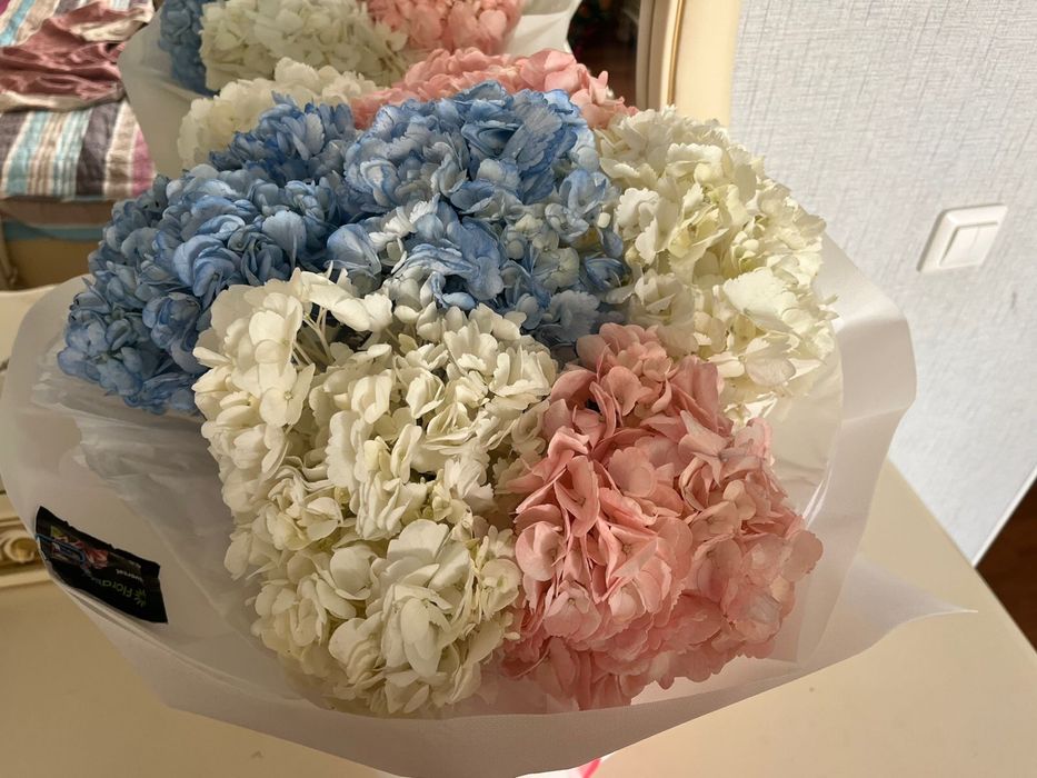 цветы гортензияя