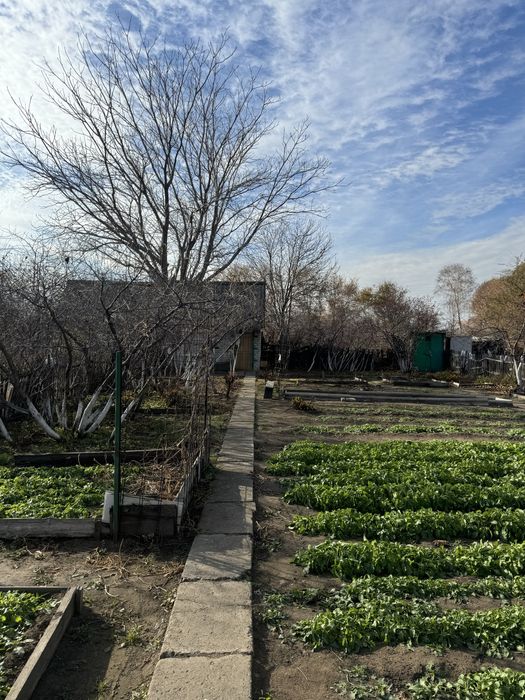 Продам дачу в садоводстве “Здоровье”.