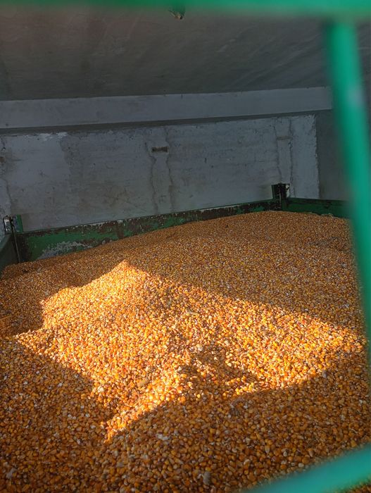 Vand graunțe 1 leu kg