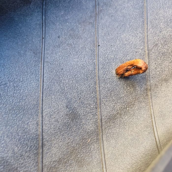 Продается шины летние michelin