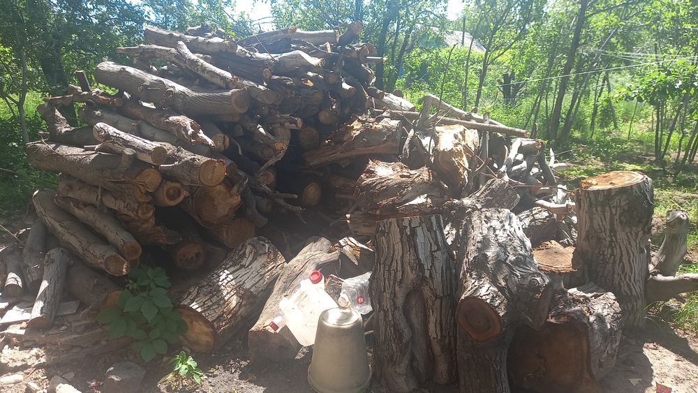 Дрова ореха и  вишни
