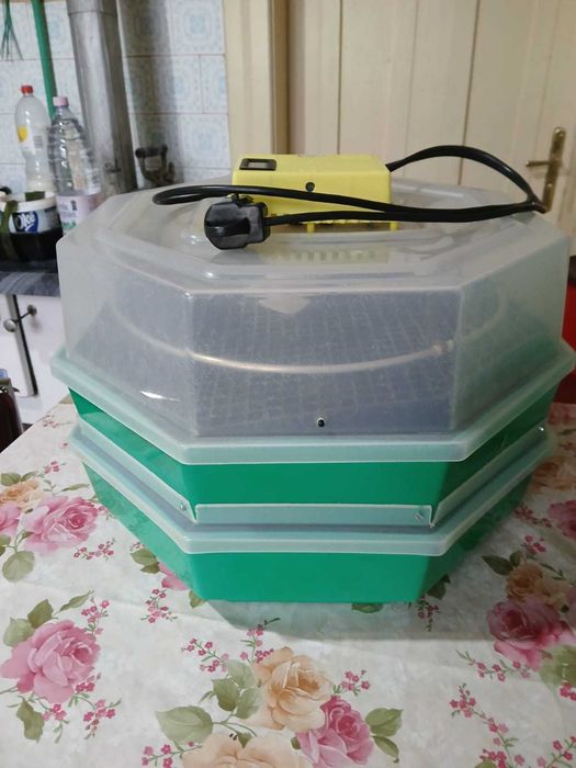 Incubator electric termostatat