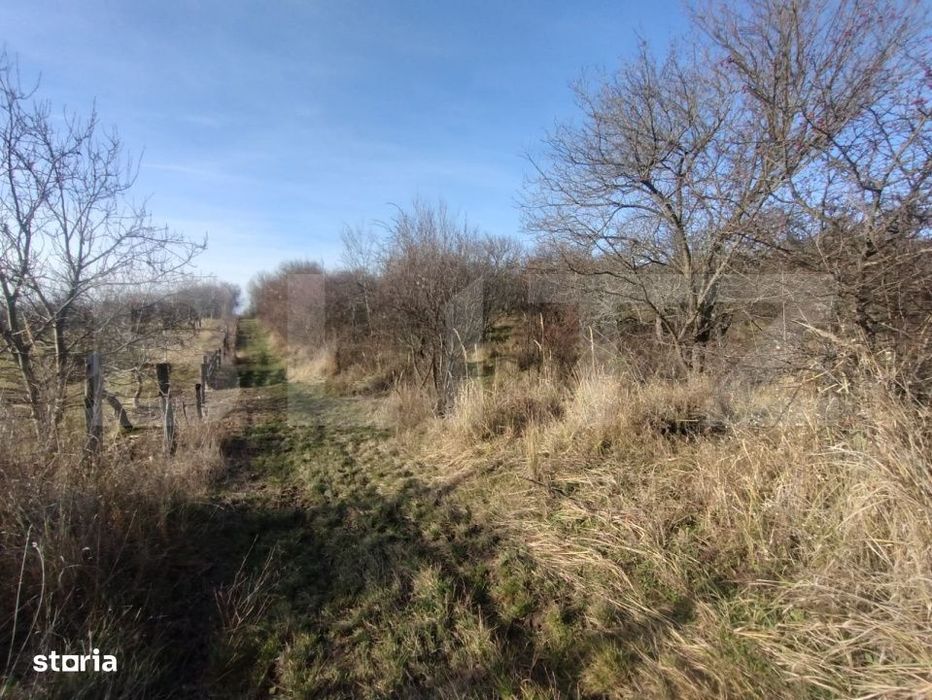 Teren extravilan, 20 ari, livada pomi fructiferi, zona Subcetate
