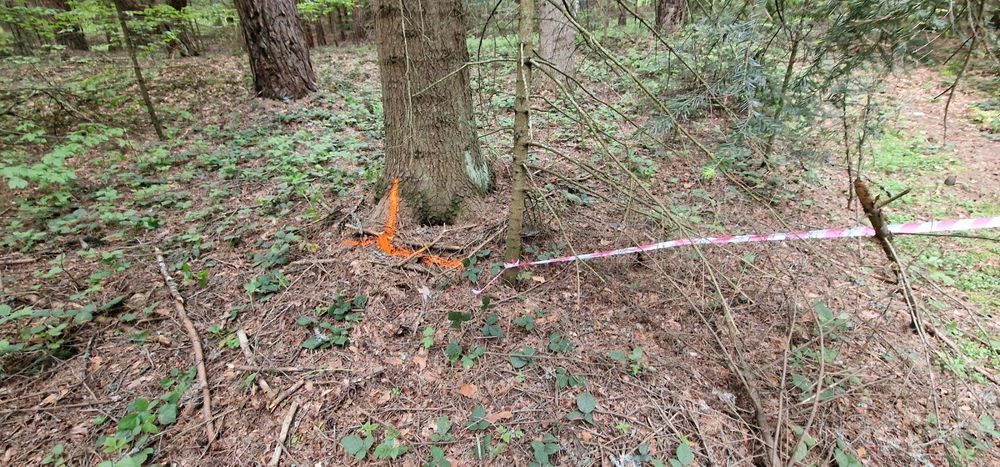 Продава парцел язовир Батак