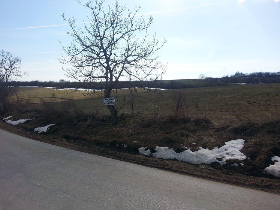 Парцел 2500 кв. м. Между с. Беляковец и В. Търново.