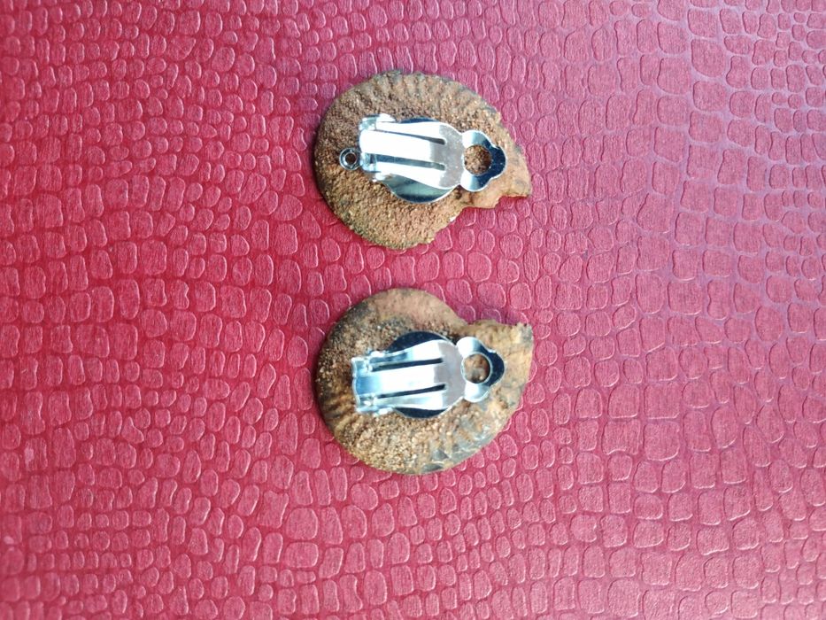 Брошка и обеци от естествени амонити-фосили, произход о. Мадагаскар