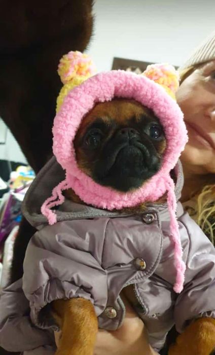 Одежда для животных. Шапочки.