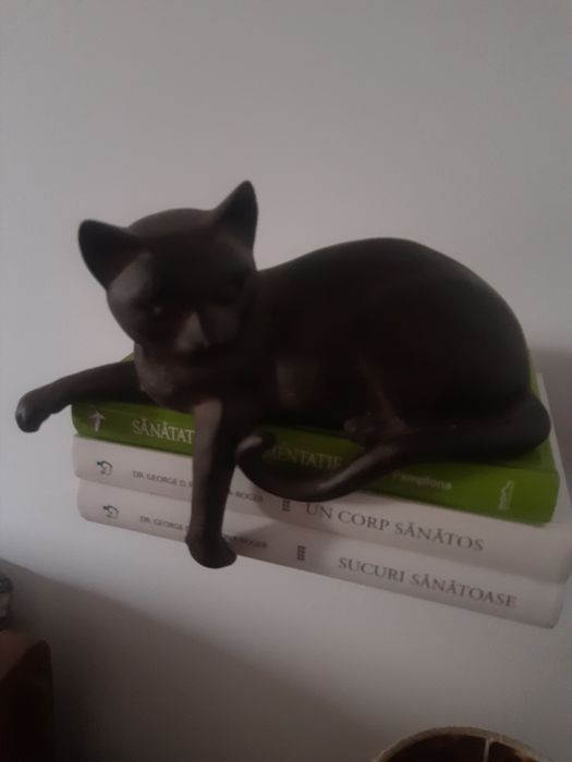 Decorațiune pisica rasina