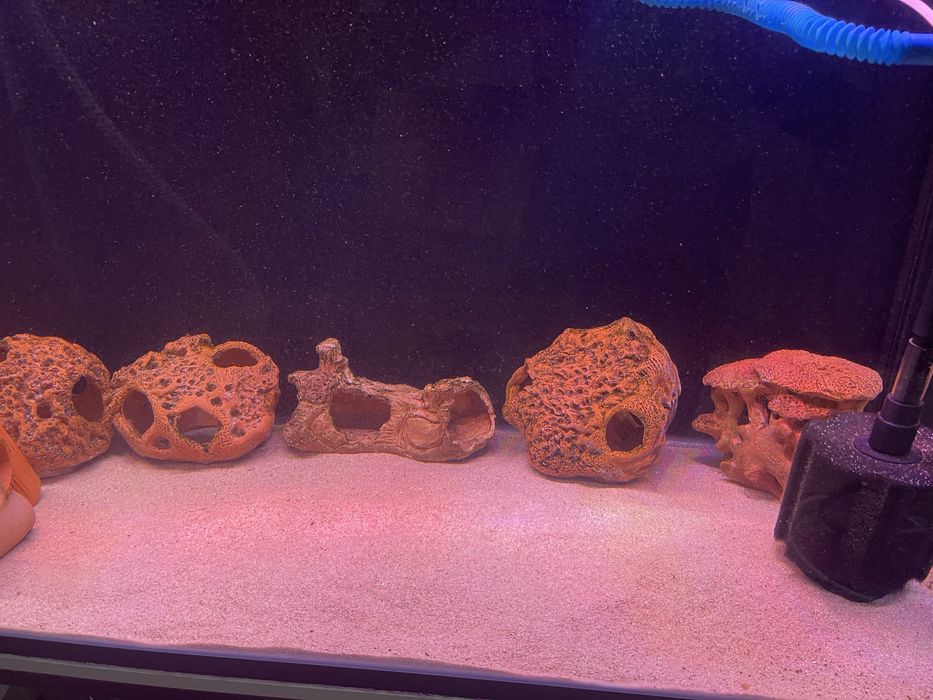 Akvarum sotiladi 300 litrli