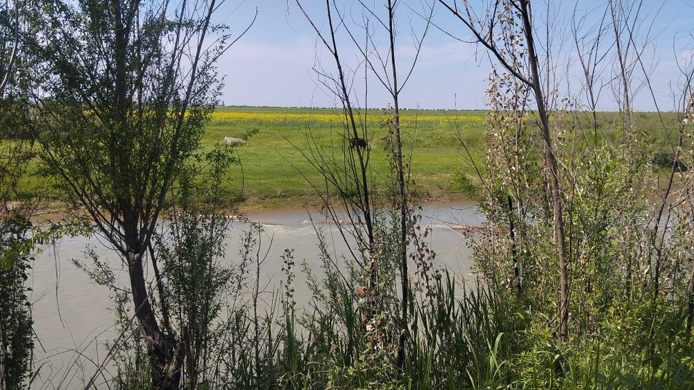 Срочно 6 сотих ер сотилади