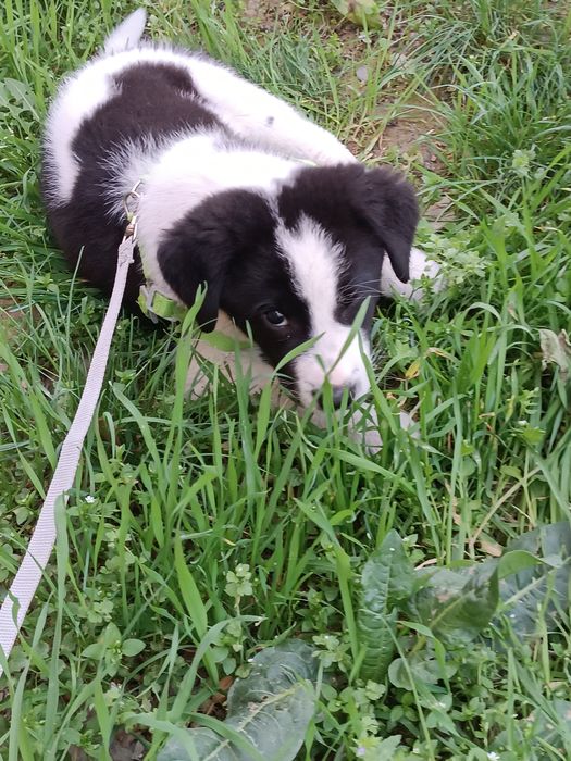 Только в ответственные руки!