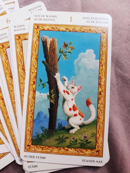 Tarot of white cats - Карти Таро с бели котки