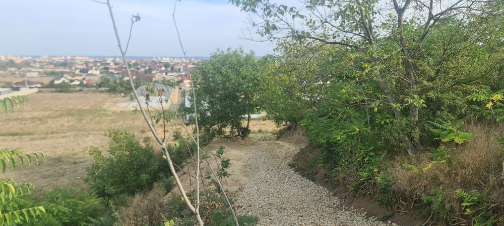 Teren dealul targului