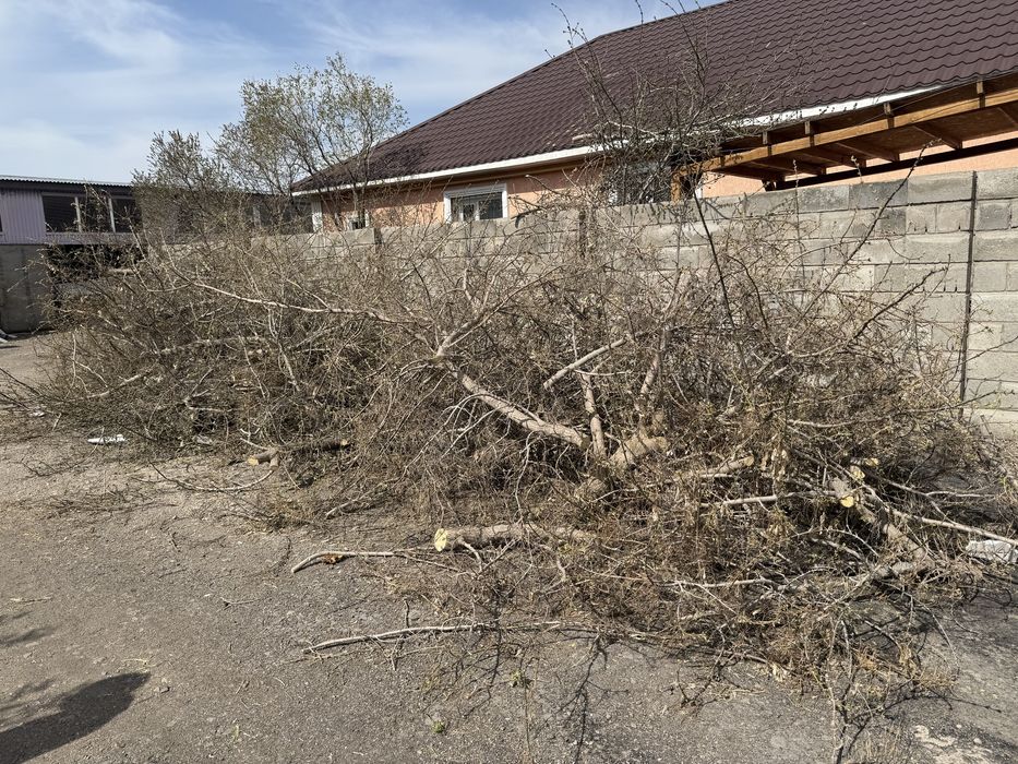 Отдам даром дрова