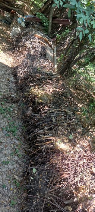 Утин бор сотилади