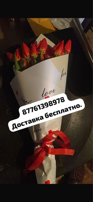 Продам цветы Тульпаны доставка бесплатно
