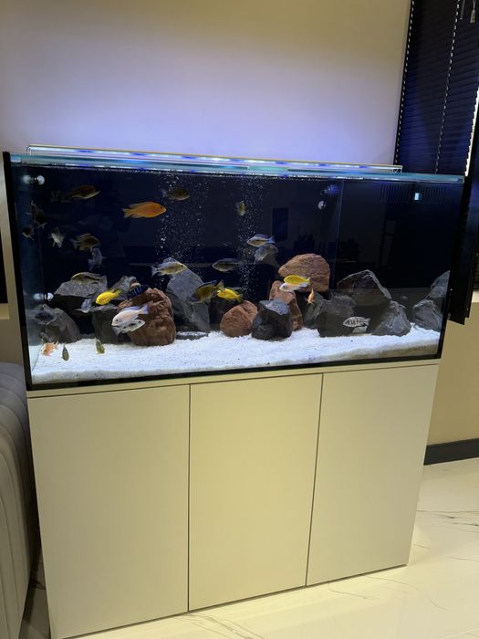 Аквариум на 320 литров