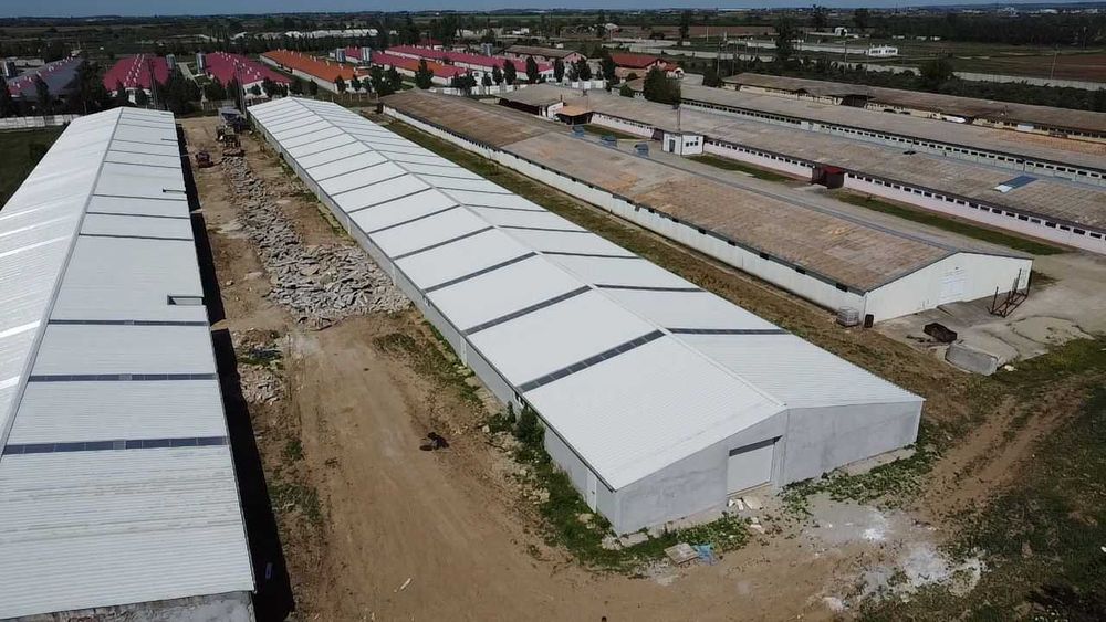 Hala industriala de vanzare in Palota