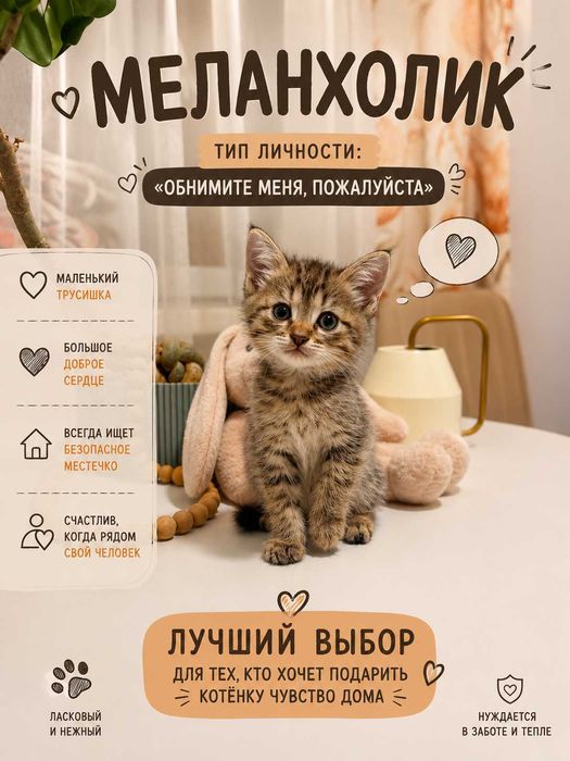 Котята 1.5 мес 4 штуки