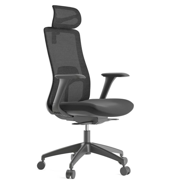 Scaun ergonomic de birou Ergoplus Patrick - Resigilat