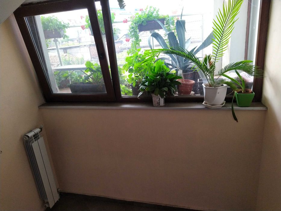 Продава се  в Силистра, Център -  кв.м за 0 €/ - Снимка #10