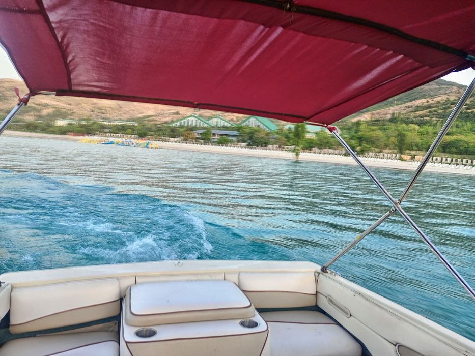 Katter sotiladi  Zor xolatda