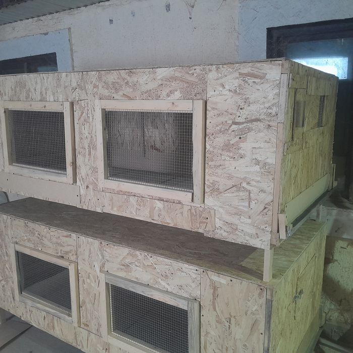 Брудер балапандарға арналған.