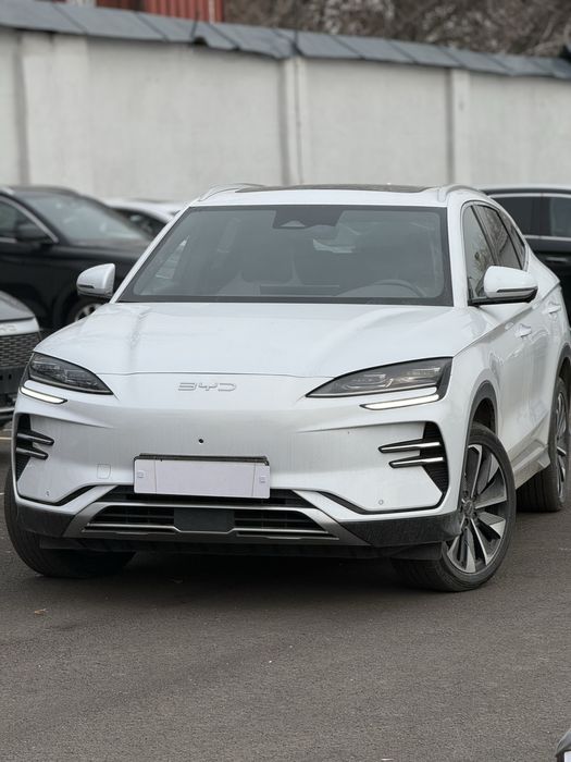 Smart BYD chempion 2024-25