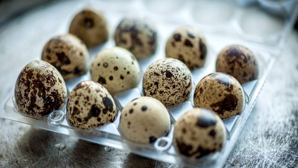 Продам свежие домашние перепелиные яйца.