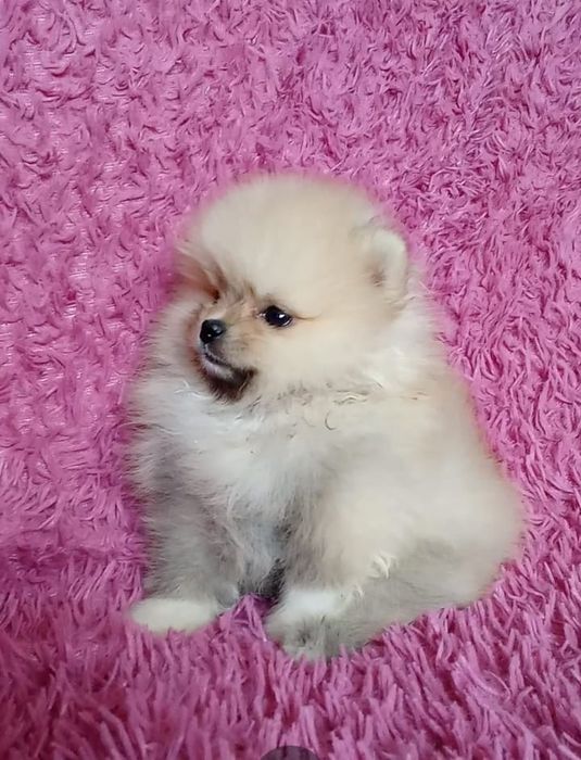 Счастье на ладошке