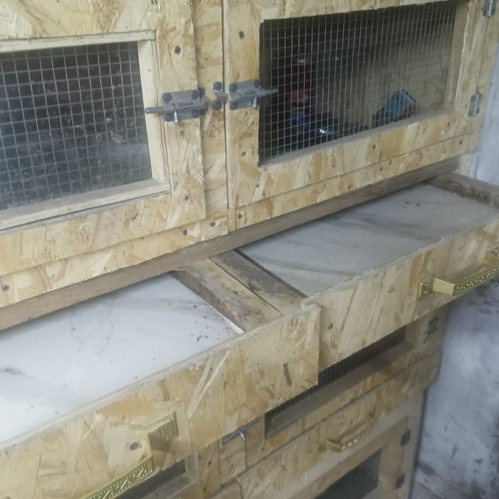 Продам Брудер по 20тысч