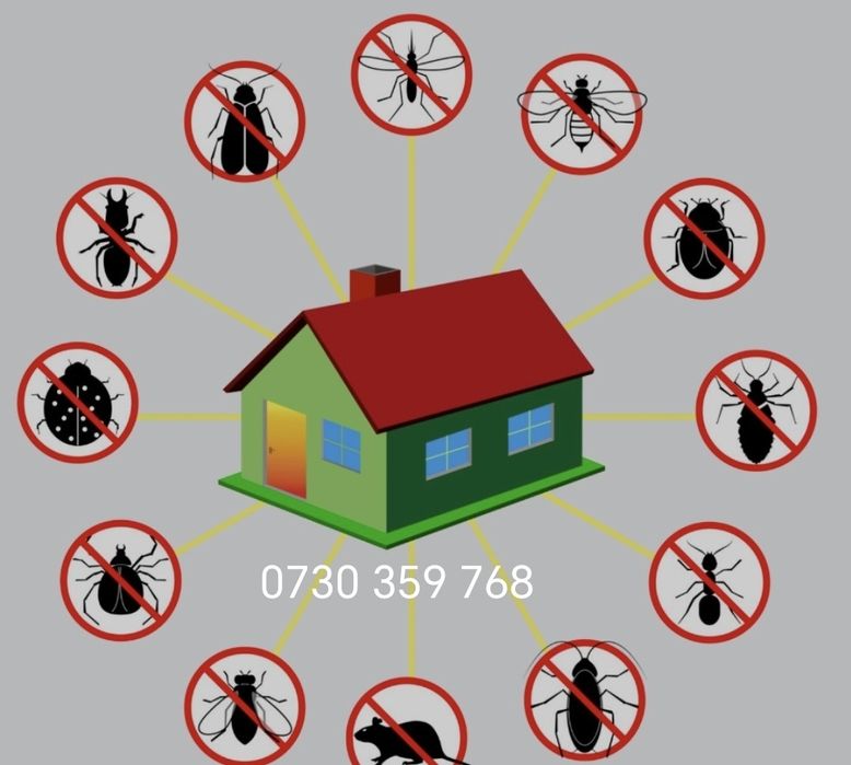 Dezinsecție și deratizare rapida - Plosnite, gândaci, soareci