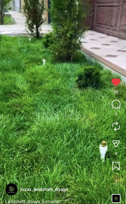 Landshaft dizayn xizmati