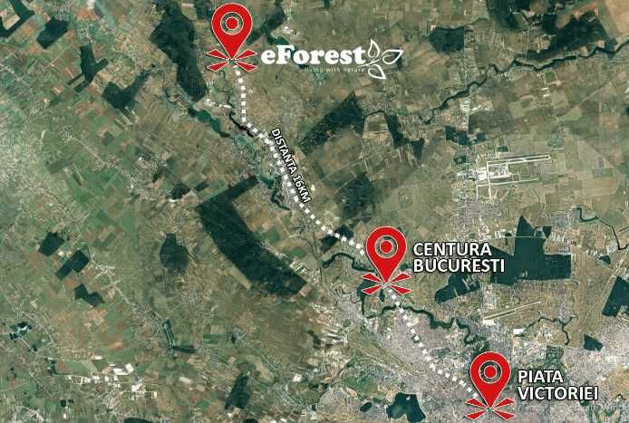 Teren intravilan Crevedia – loturi de teren lângă Pădurea Lucianca, eForest