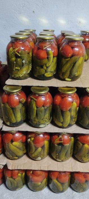 Маринованные помидоры домашние