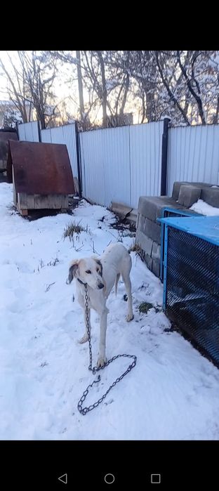 Продам Продам Продам