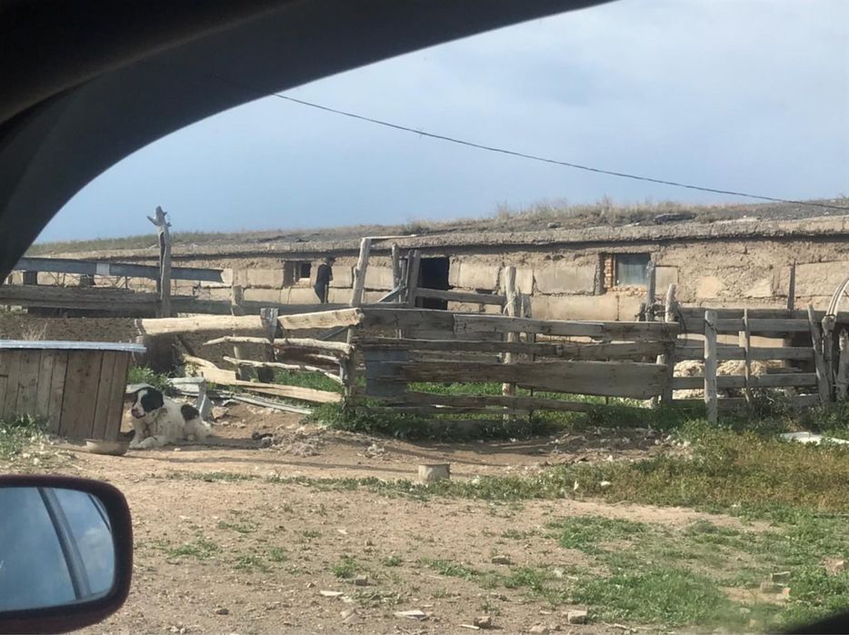 Фазенда продажа Алматы