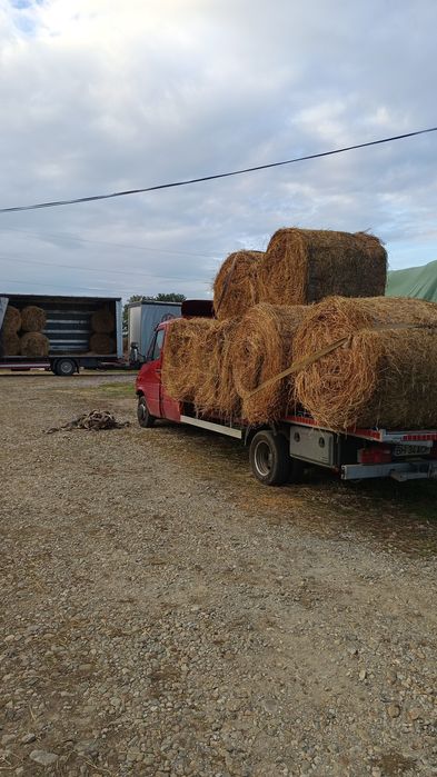 Vând baloți mari de fân și lucerna
