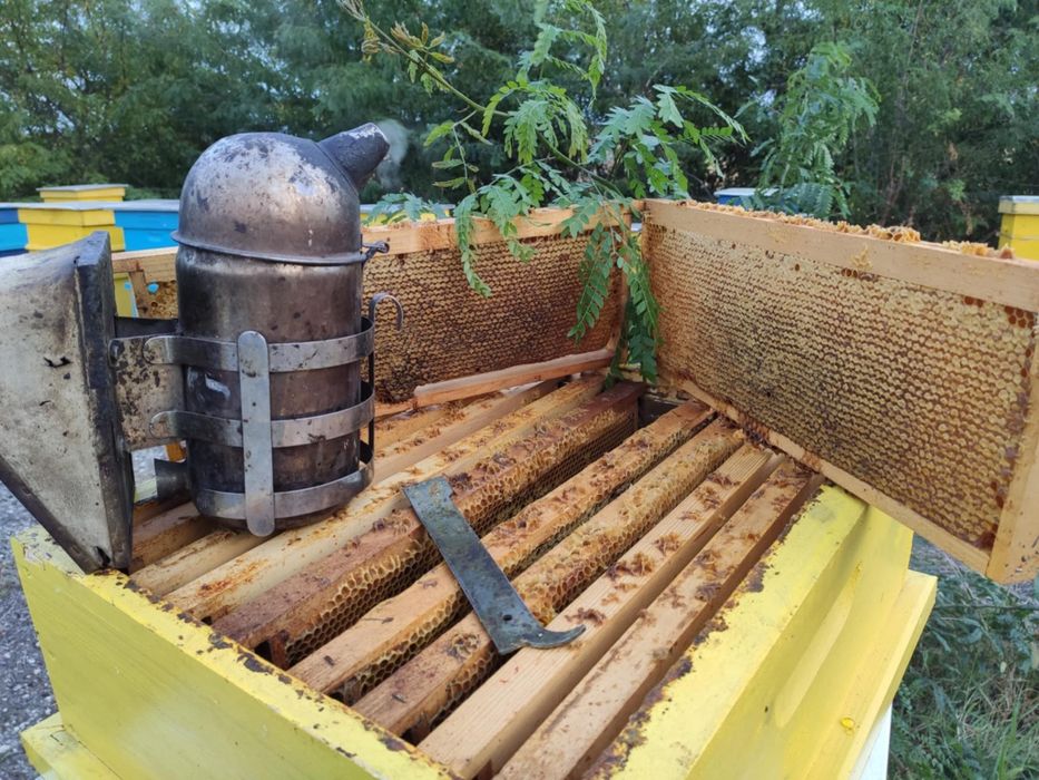 Пчелен Мед- 2025г, Букет, Тенекия, кошери, пчели,билков,билки, здраве