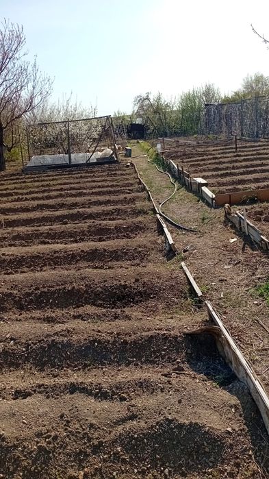 Срочно продам дачу