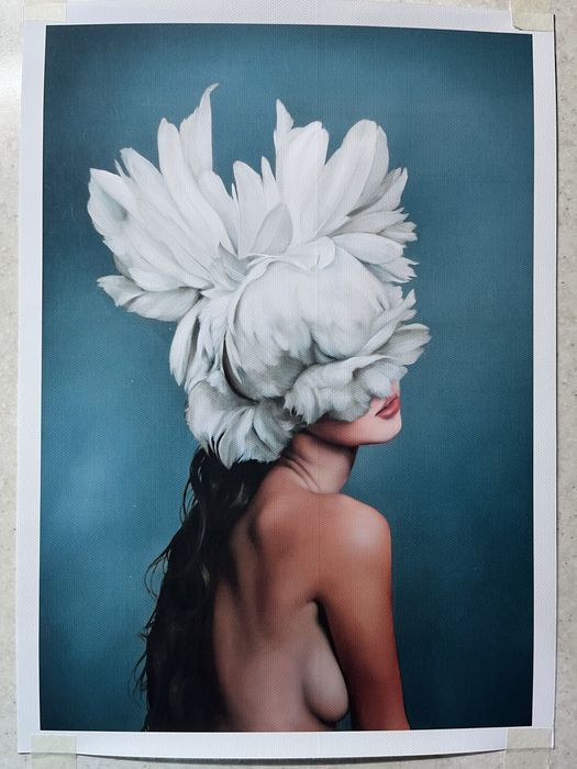 Картины без рамы (3 разные)