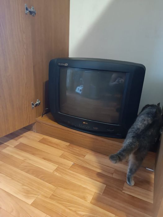 Телевизор LG soundmax