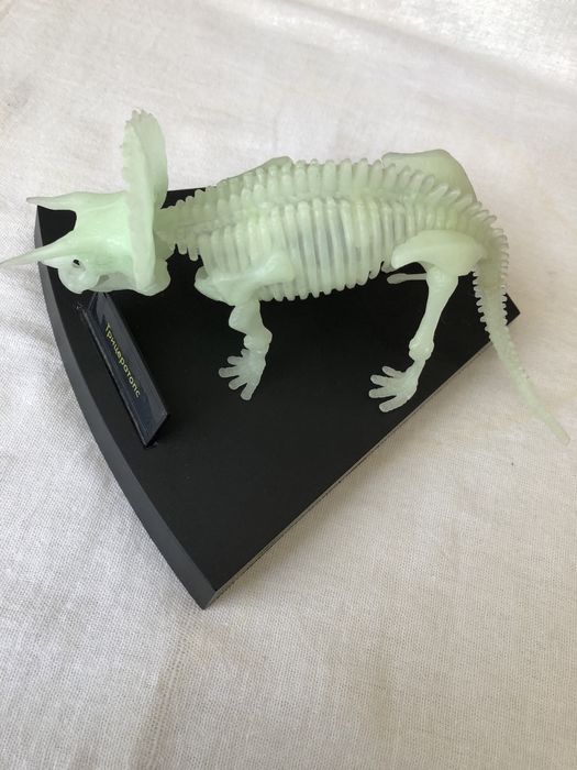 Трицератопс динозавр