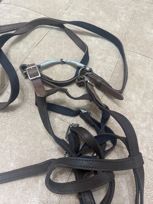 Продам Жуген для лошади